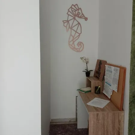 Apartment ιόλη *
