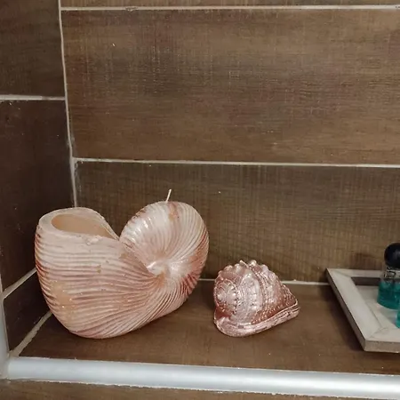 Apartment ιόλη Flogita